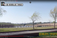 [댓TV] 대신전해봐썹ep.5 시흥 벚꽃 명소 대신 가 '봄'