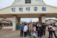 대야장애인주간보호시설 봄맞이 벚꽃 나들이